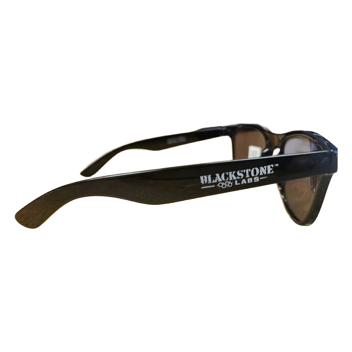 Malibu Sunglasses